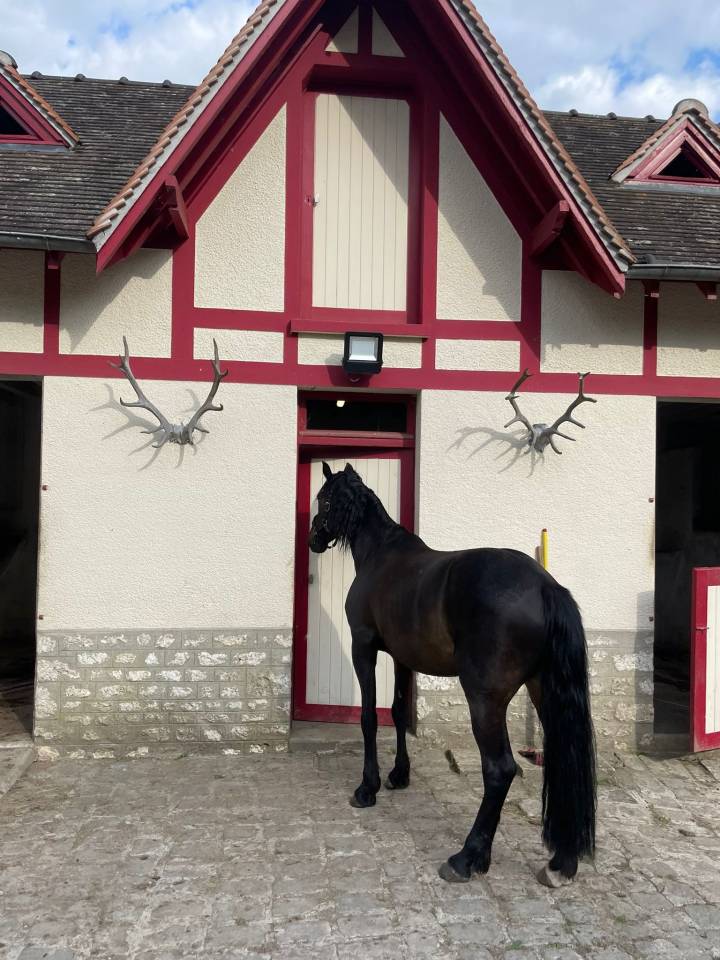 Django 