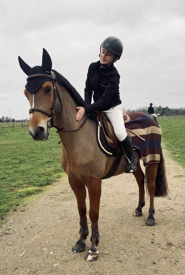 Poney de sport à vendre 