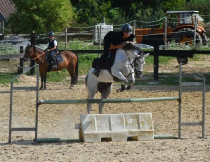 Ponette de sport Welsh