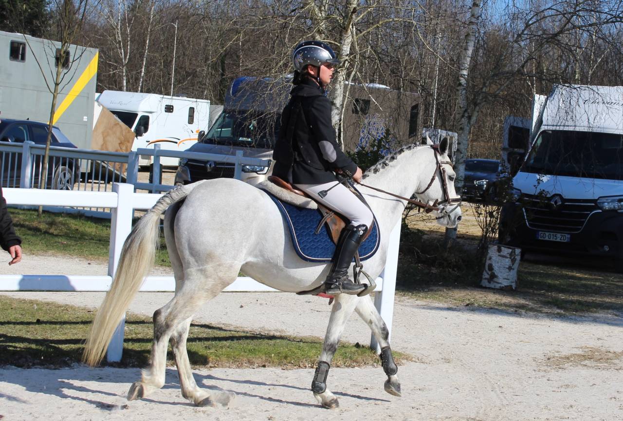 Ponette de sport Welsh