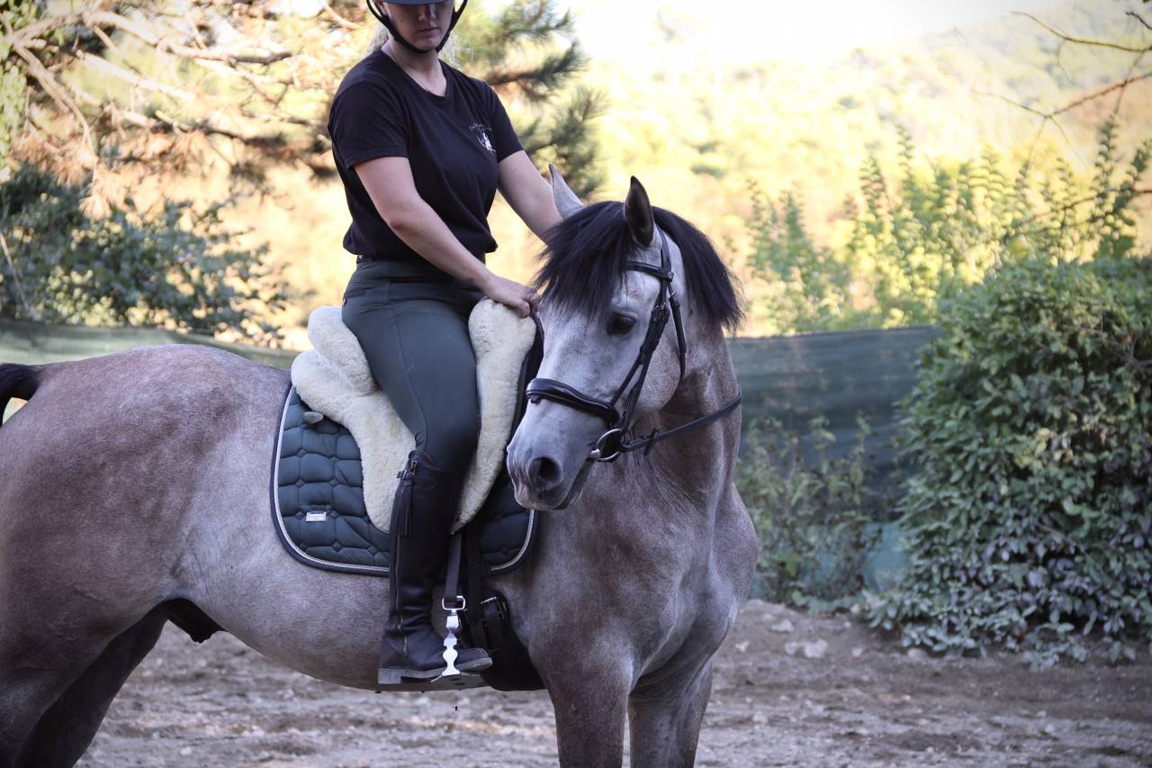 Cheval