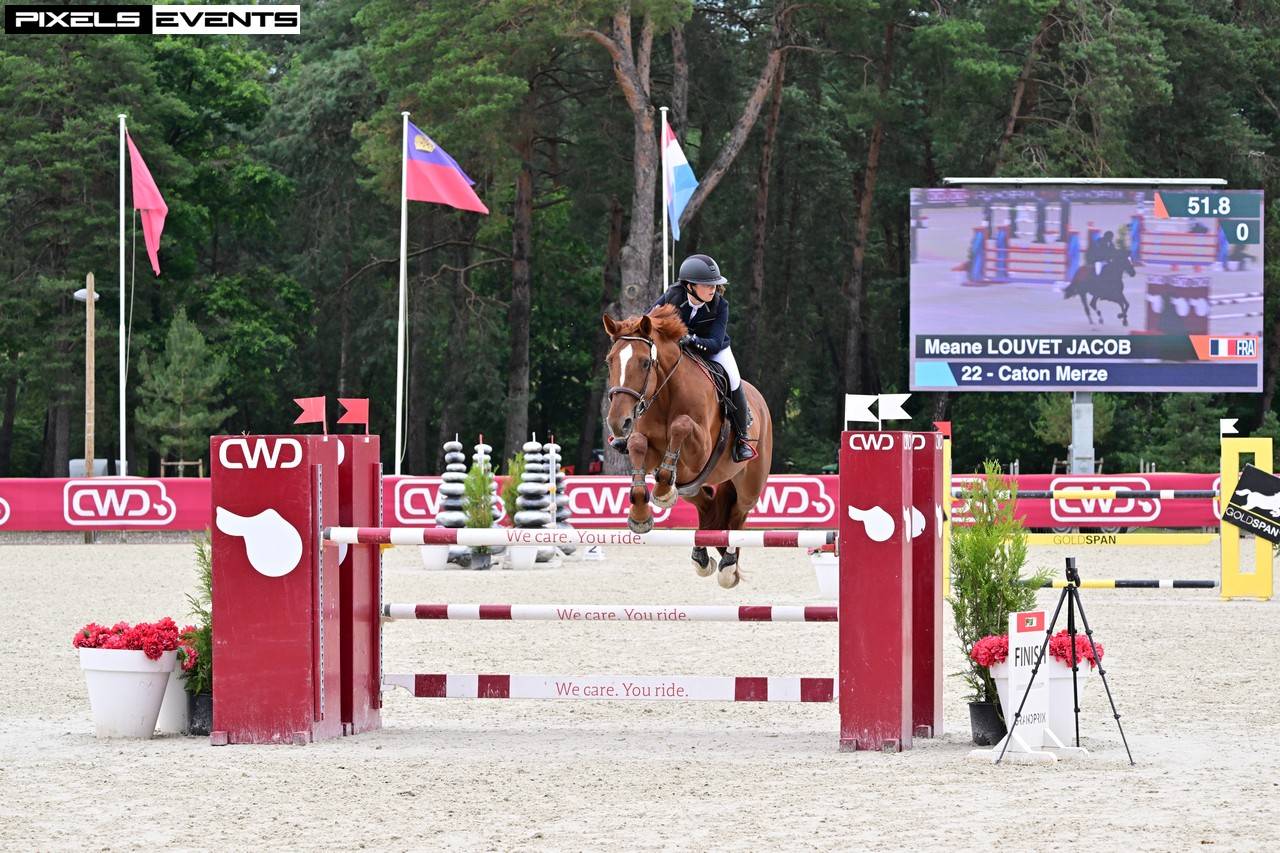 Cheval selle français Hongre alezan, CSO 120cm