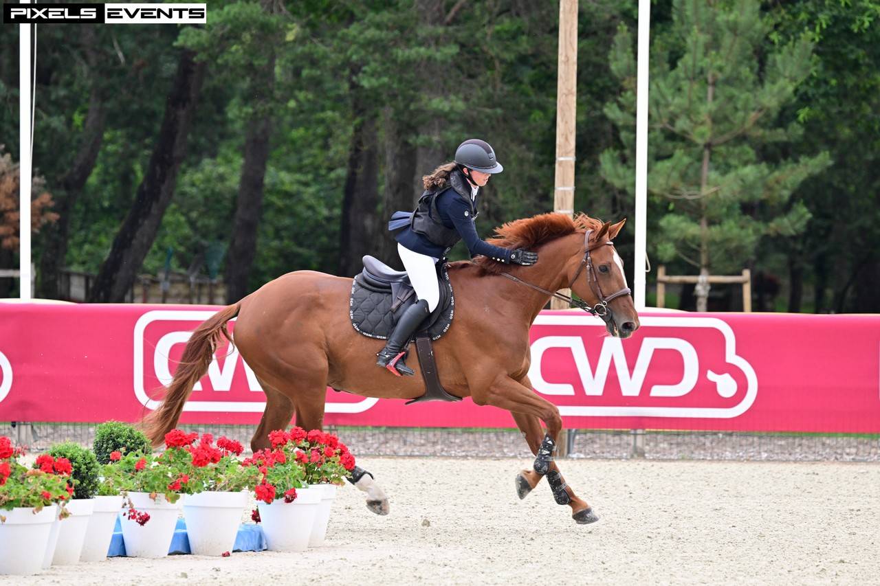 Cheval selle français Hongre alezan, CSO 120cm