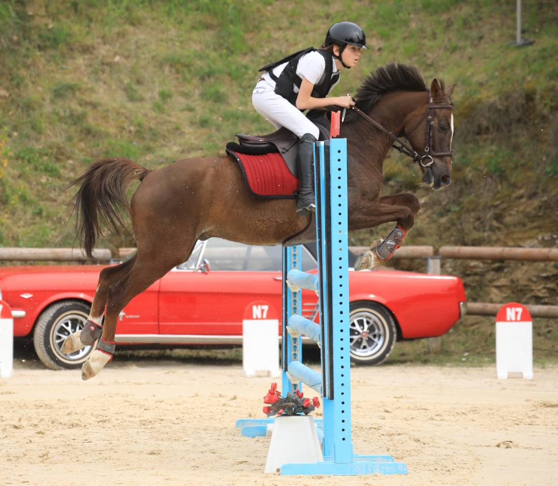 Gold - Poney d'Exception, Super resultats PElite/As2