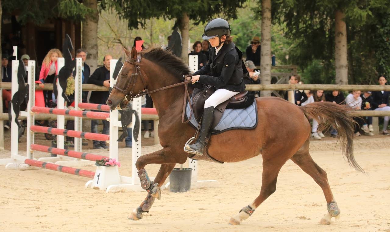 Gold - Poney d'Exception, Super resultats PElite/As2