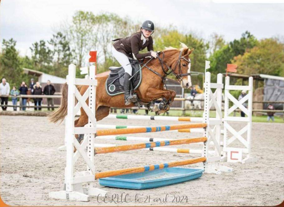 Ponette de compétition 