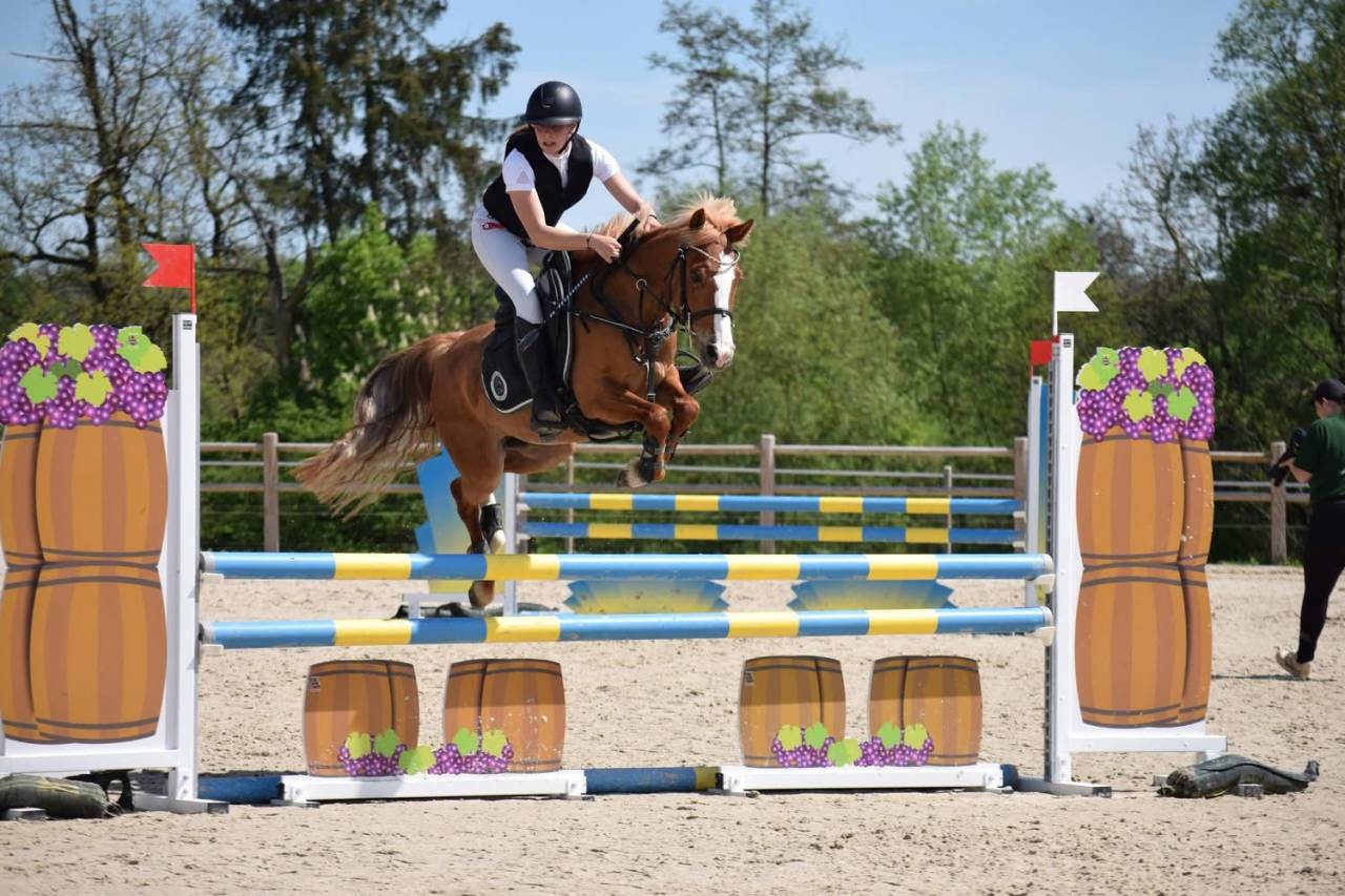 Ponette de compétition 