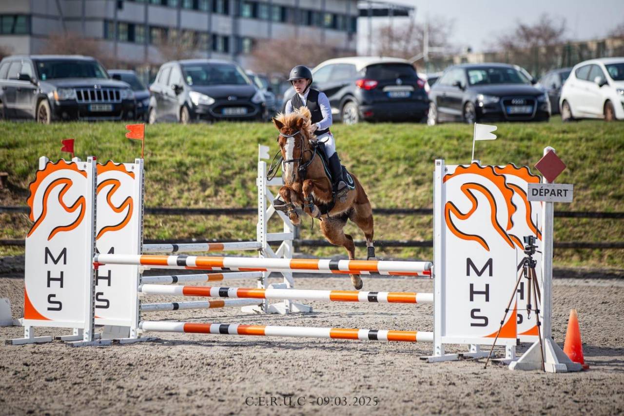 Ponette de compétition 