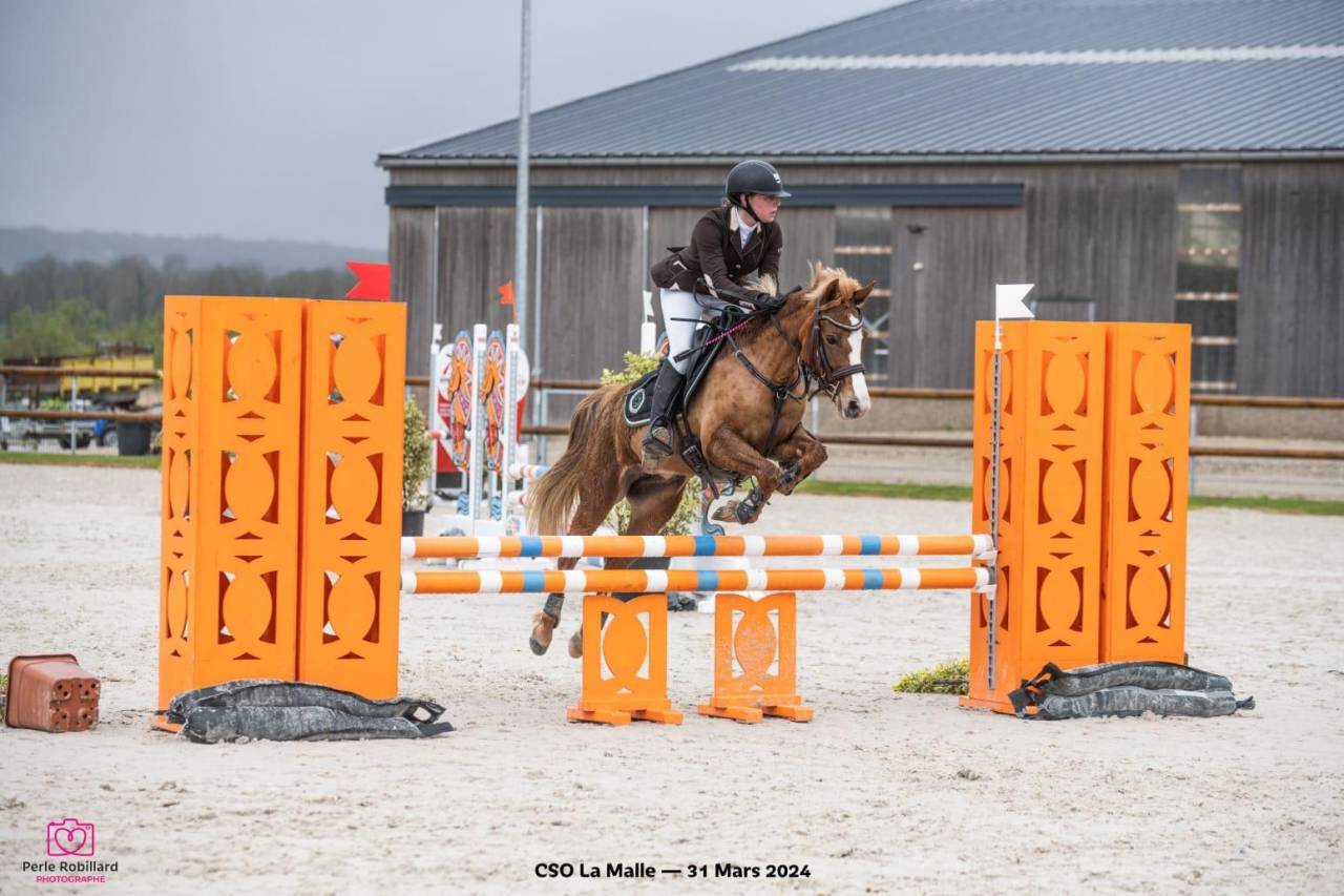 Ponette de compétition 