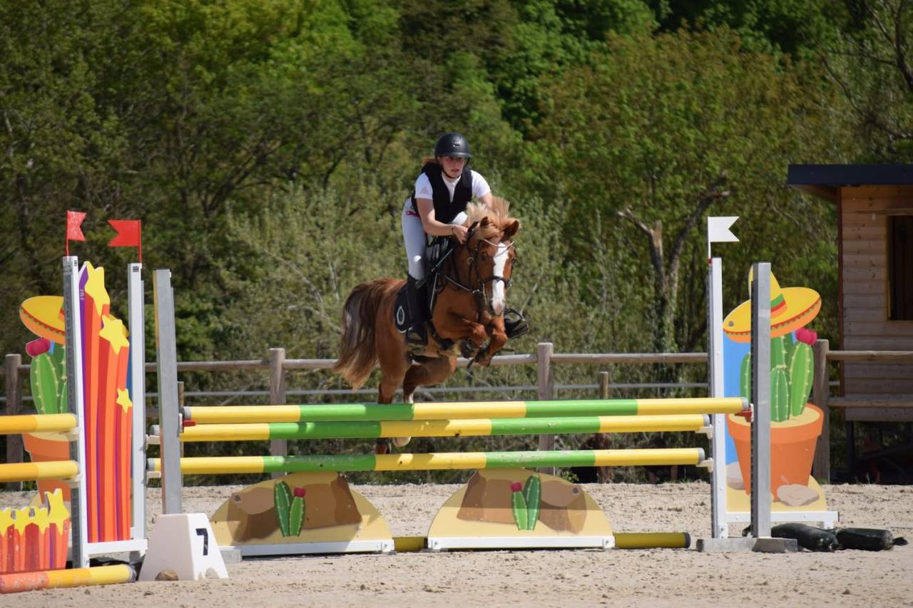 Ponette de compétition 