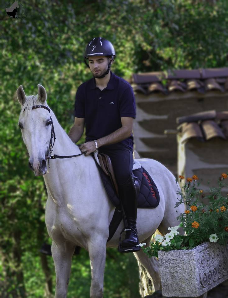 Hongre Welsh Part Bred Palomino né en 2022