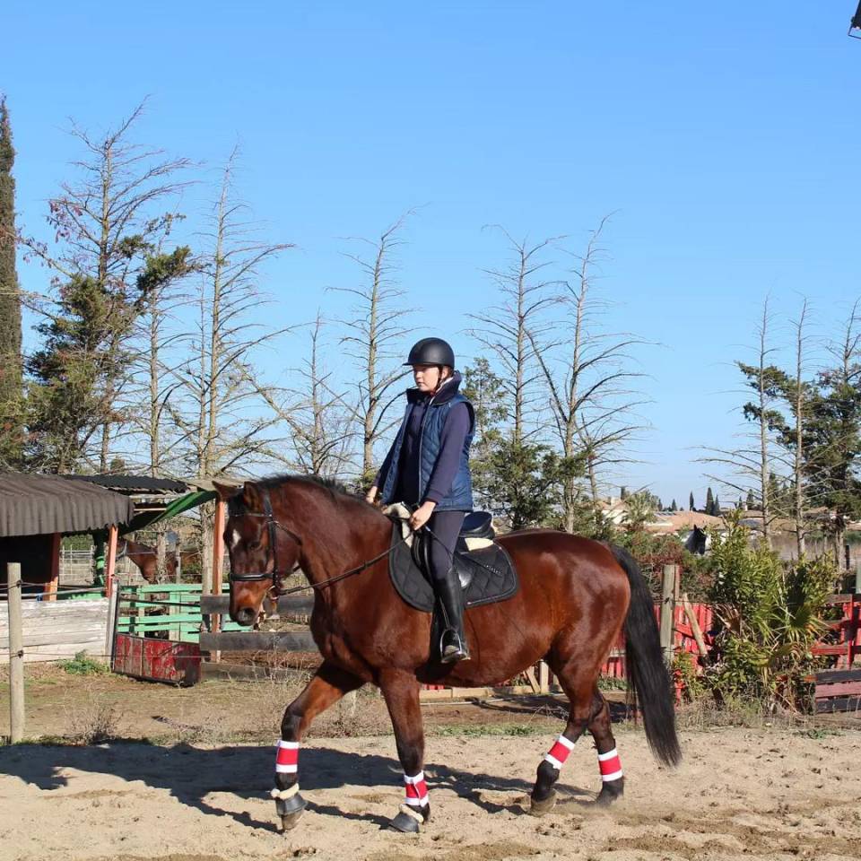 Volubilis cherche sa nouvelle famille 