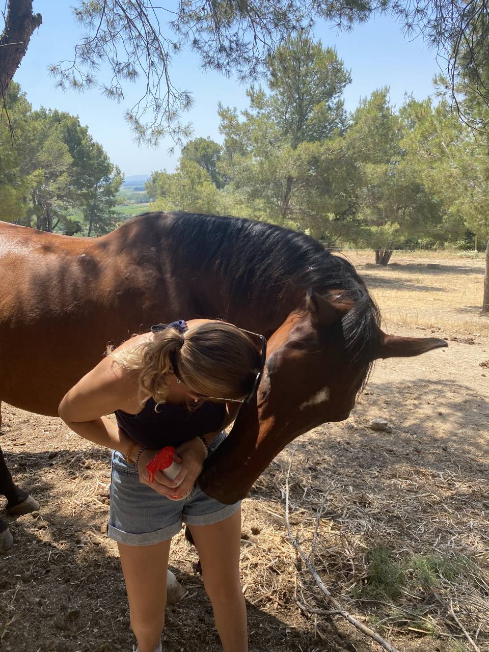 Volubilis cherche sa nouvelle famille 
