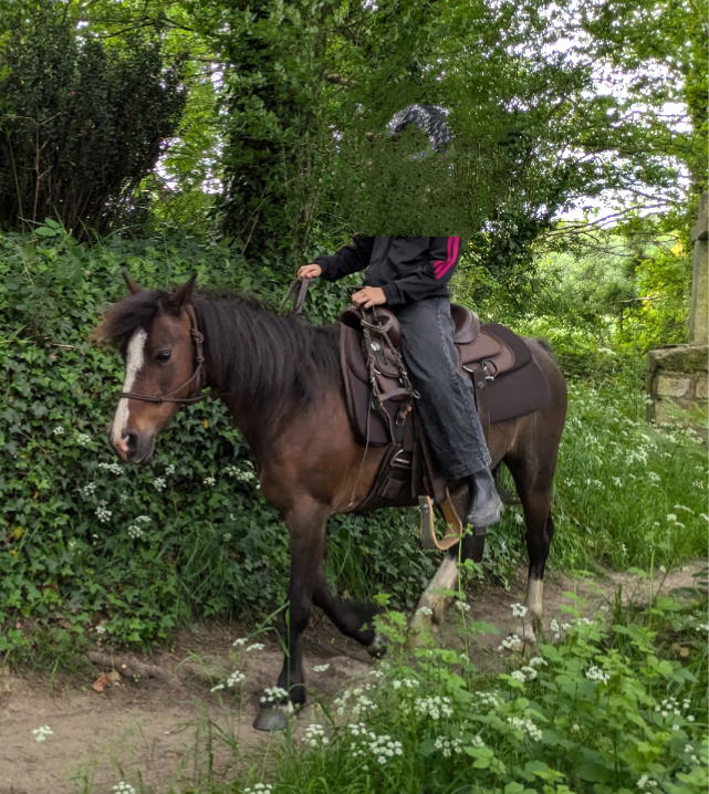 Ponette 1m30 15ans 