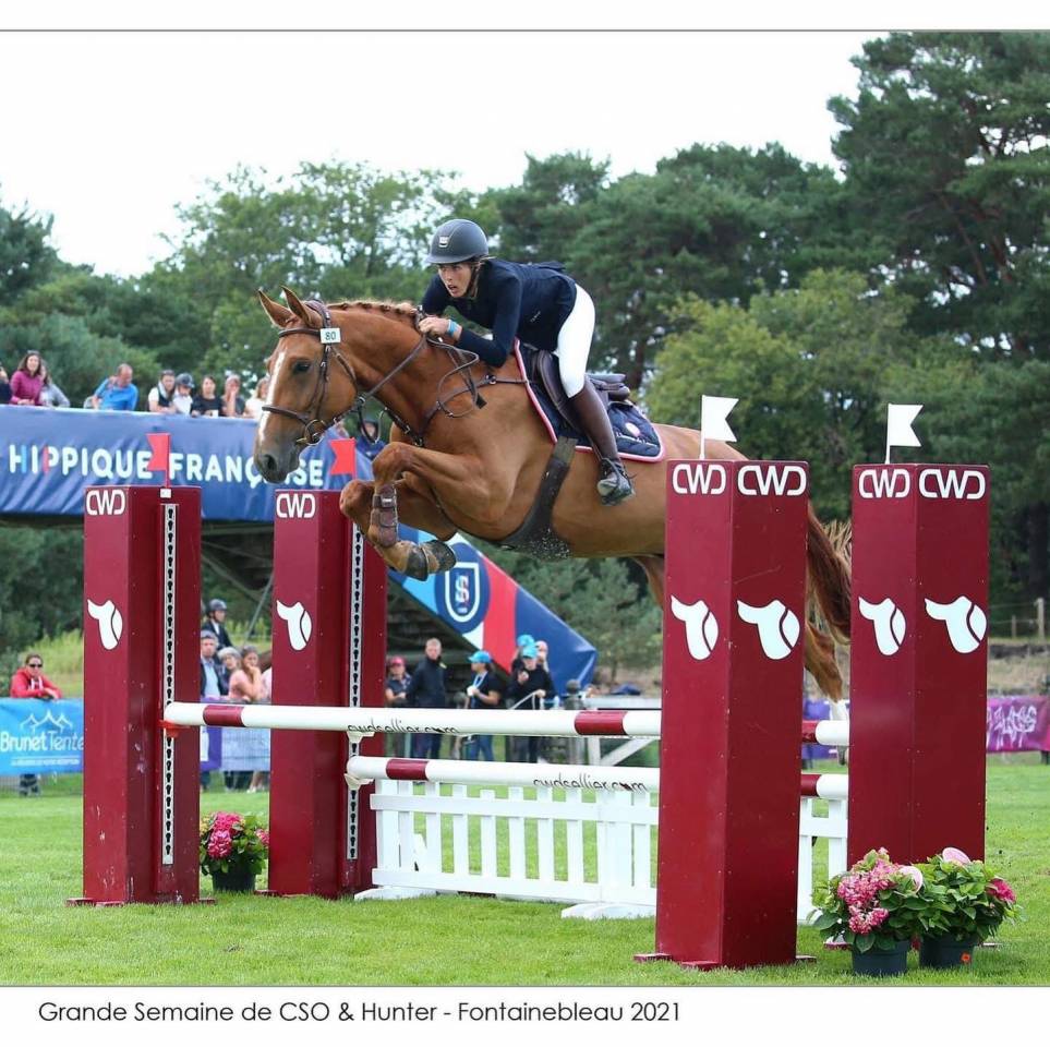 8 ans. Selle irlandais  pour am1-elite 