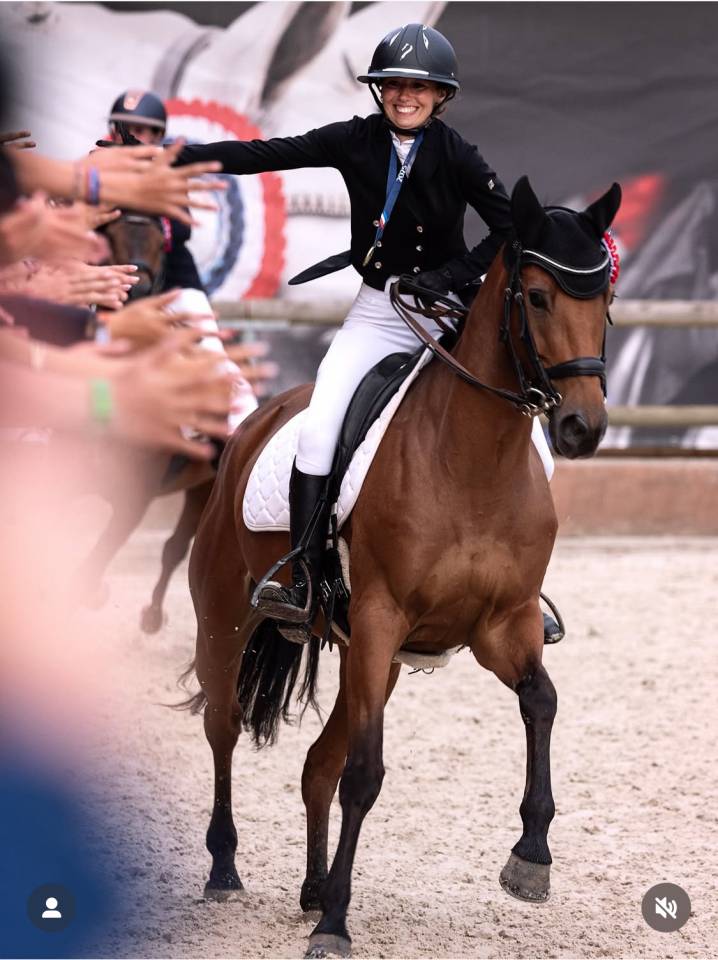 Hongre cso dressage selle francais 11 ans