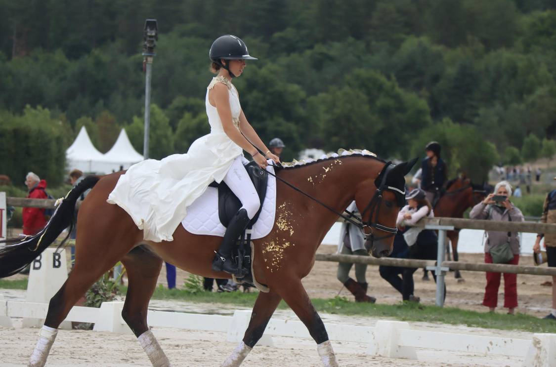 Hongre cso dressage selle francais 11 ans