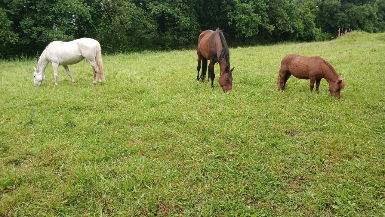Pension &eacute;curies de propri&eacute;taires &agrave; Brennilis