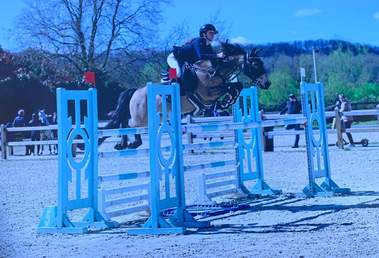 Poney de concours