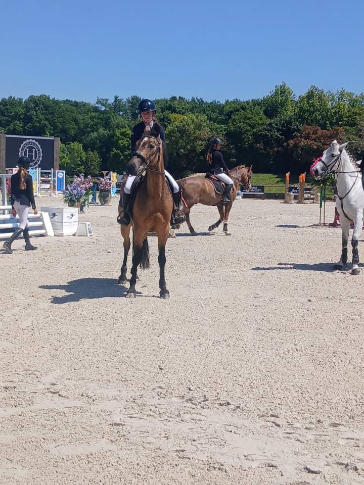 Poney de concours