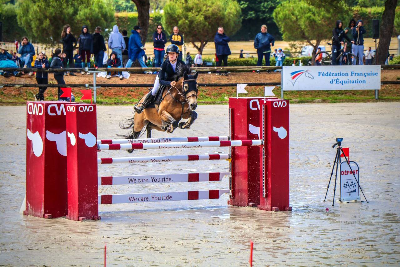 Poney de concours