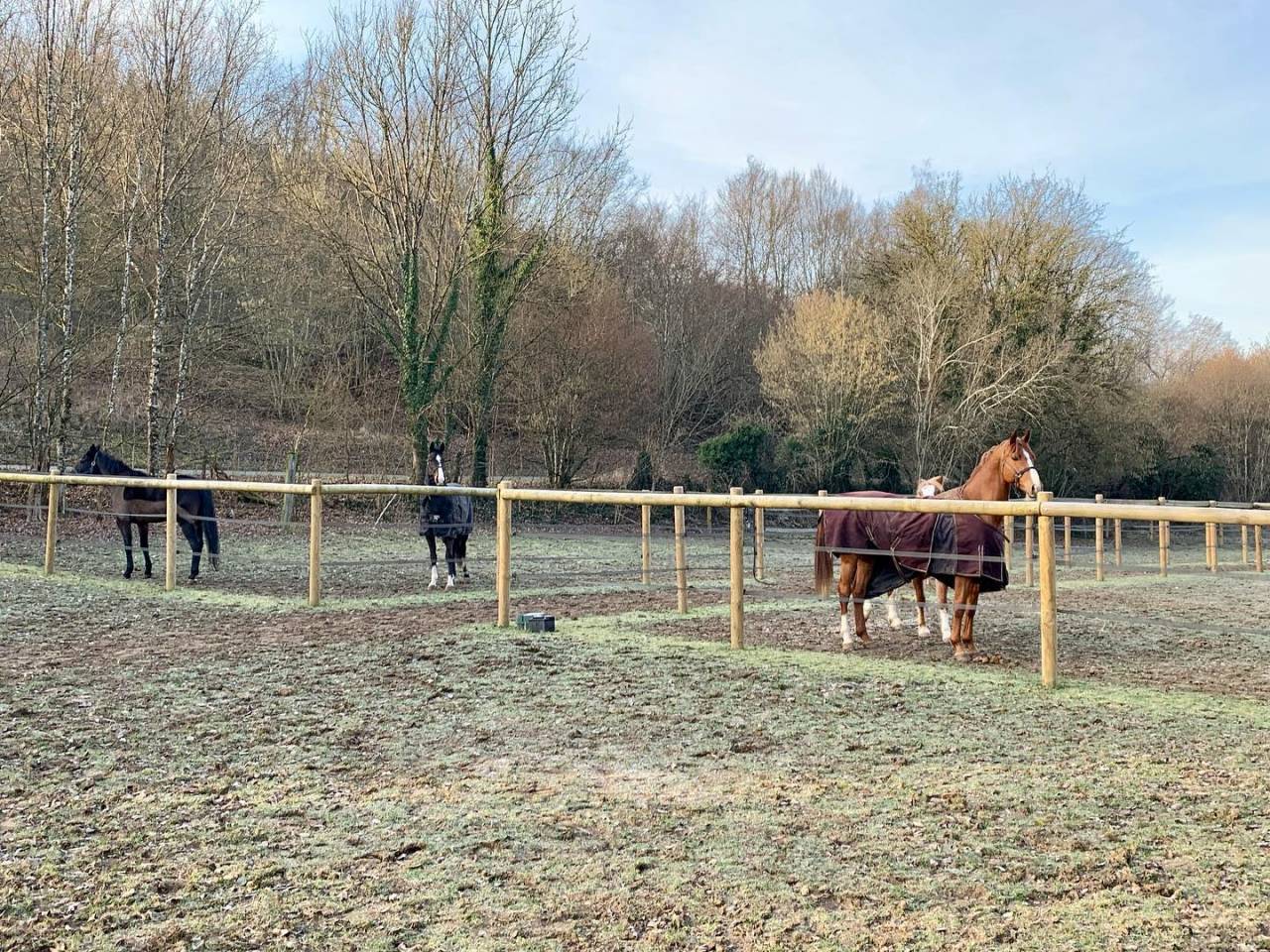 Le Domaine de l'Ondine - Ecuries de propriétaires