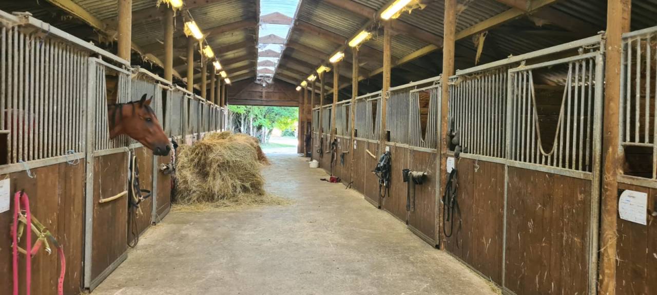 Le Domaine de l'Ondine - Ecuries de propriétaires