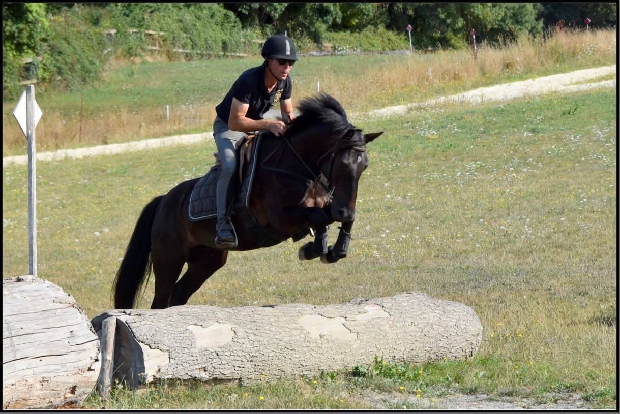 Poney de Sport 