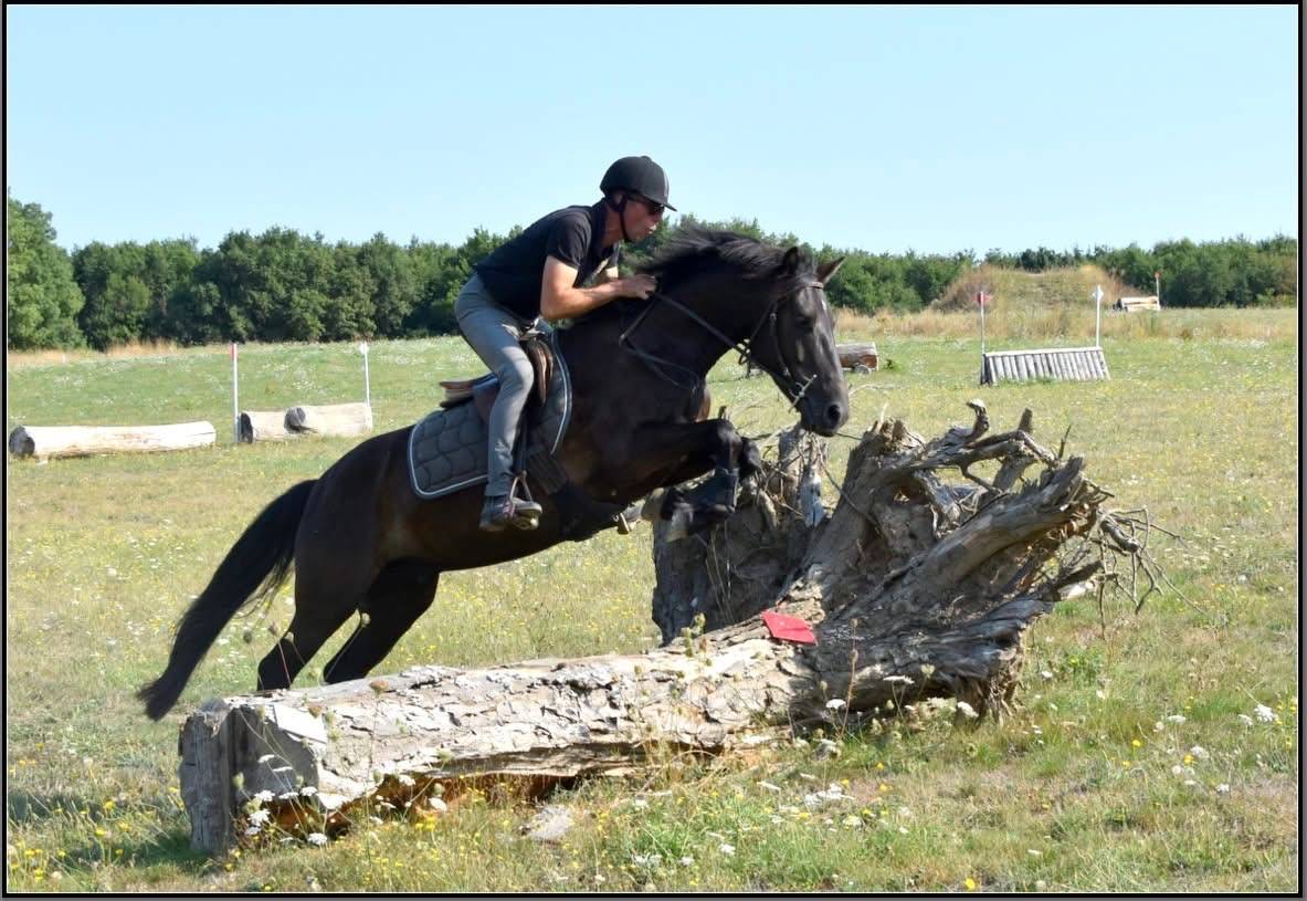 Poney de Sport 