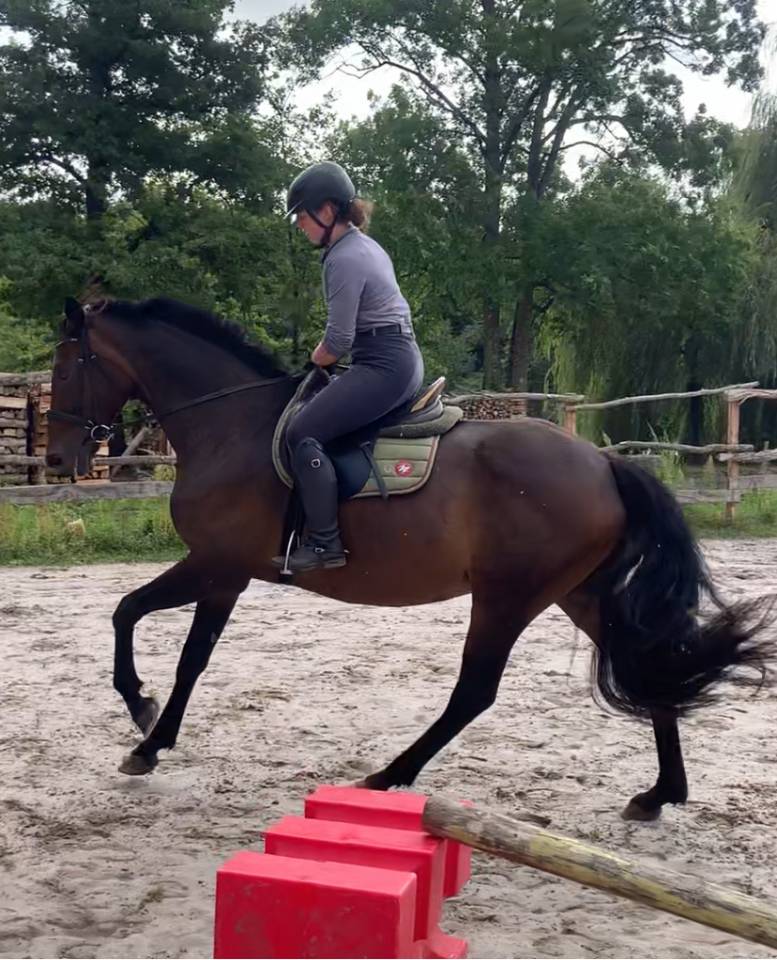 a vendre cause depart aux études 