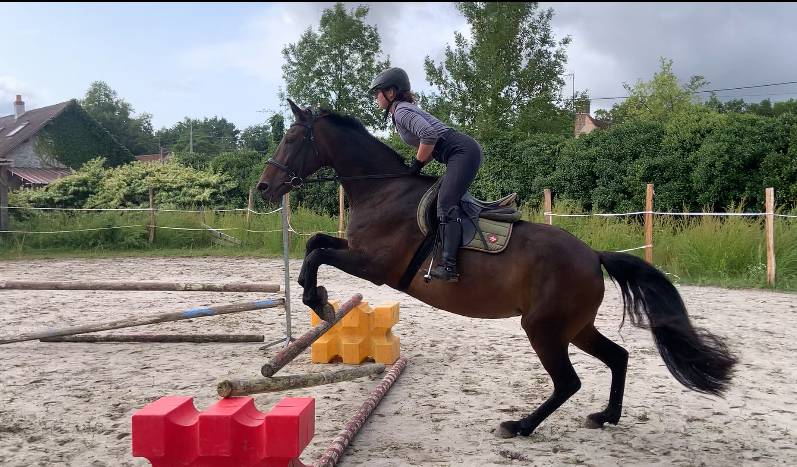 a vendre cause depart aux études 