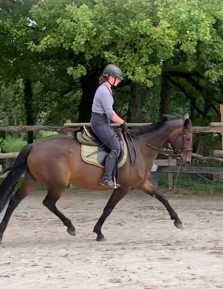 a vendre cause depart aux études 