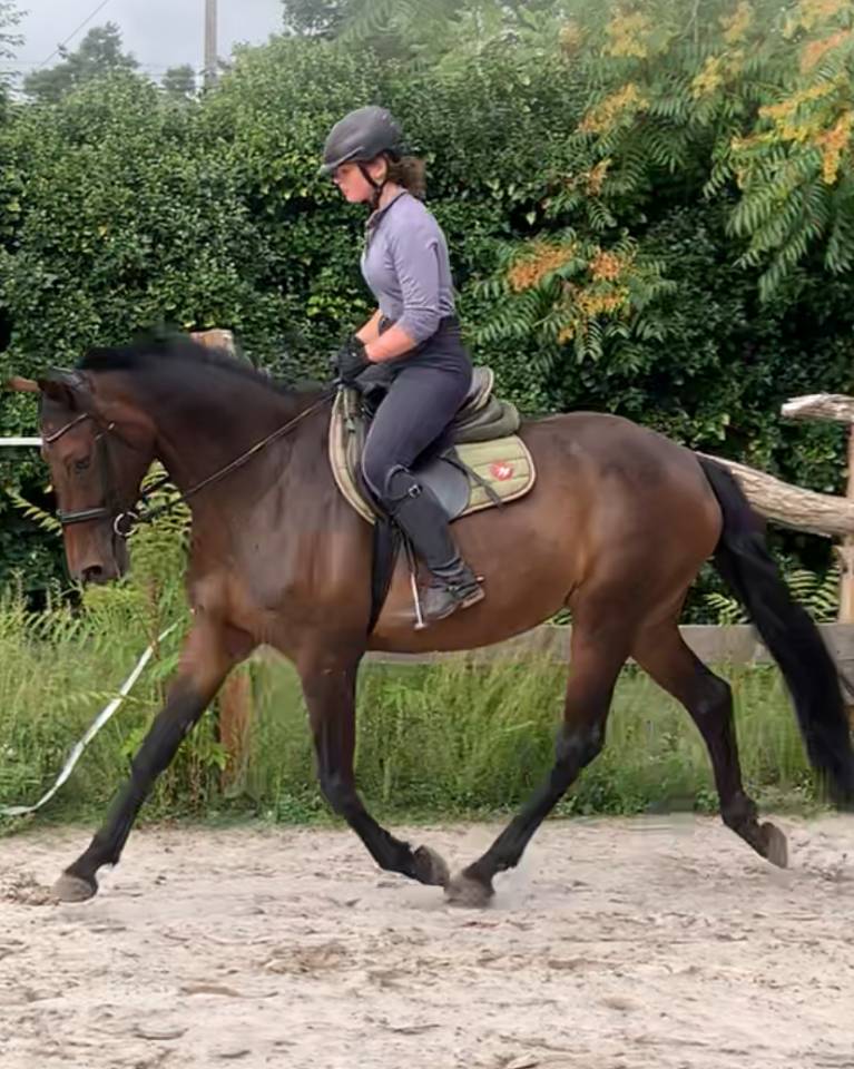 a vendre cause depart aux études 