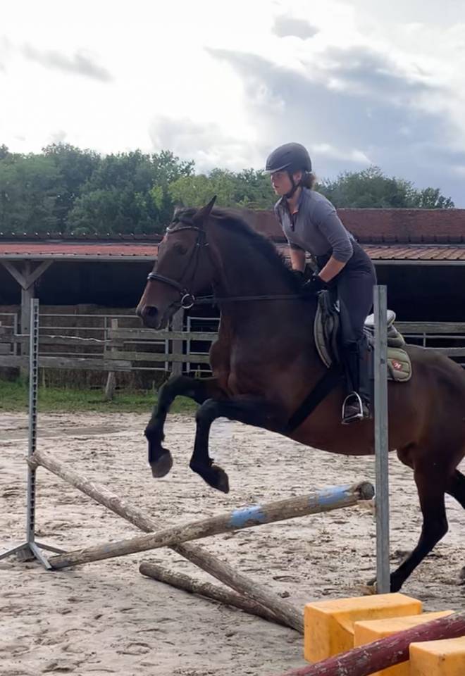 a vendre cause depart aux études 