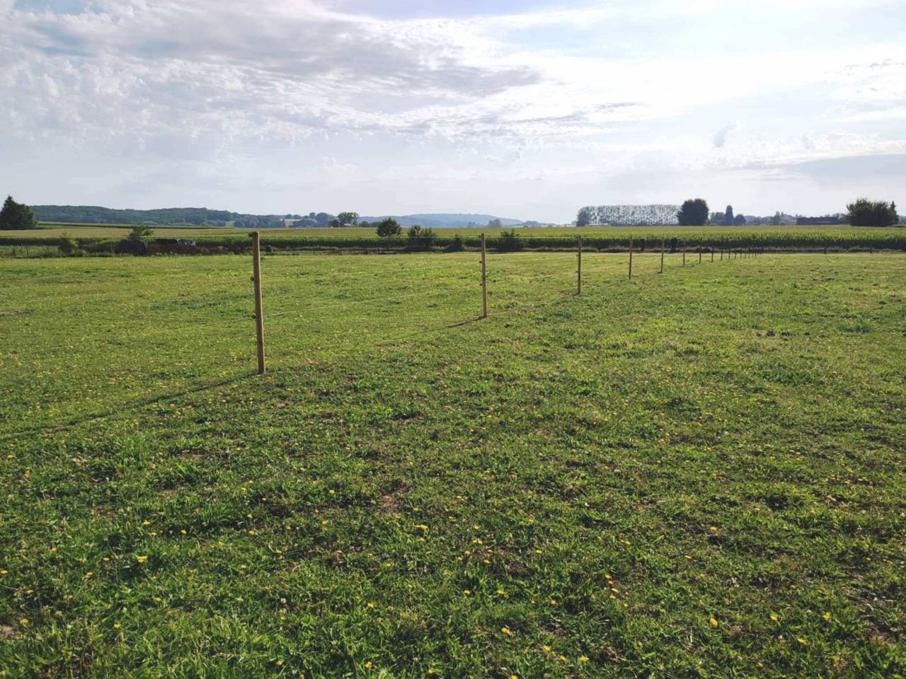 Prairie à louer