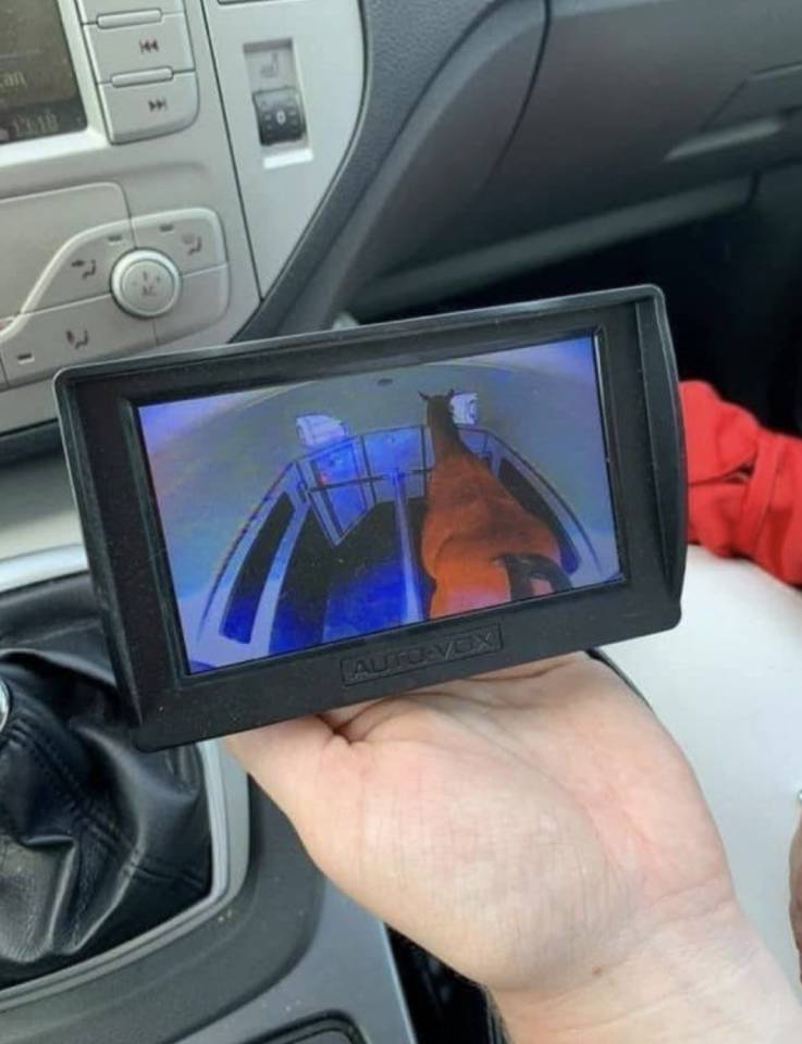 Van bockmann 2 places chevaux