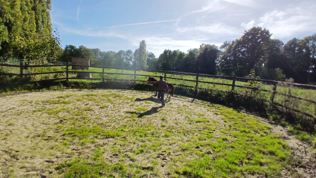 Pension &eacute;quine - EQUIPONATURA - 35230 Orgeres