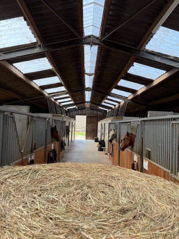 Pension &eacute;quine &ndash; &Eacute;curies DC &Eacute;quitation &ndash; Lyon Est