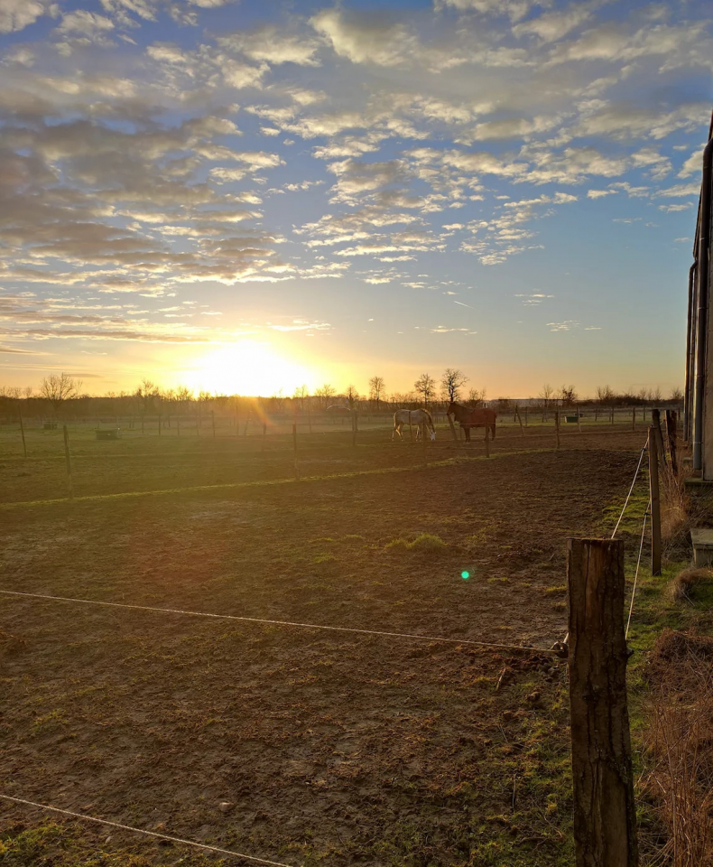 Pension &eacute;quine &ndash; &Eacute;curies DC &Eacute;quitation &ndash; Lyon Est