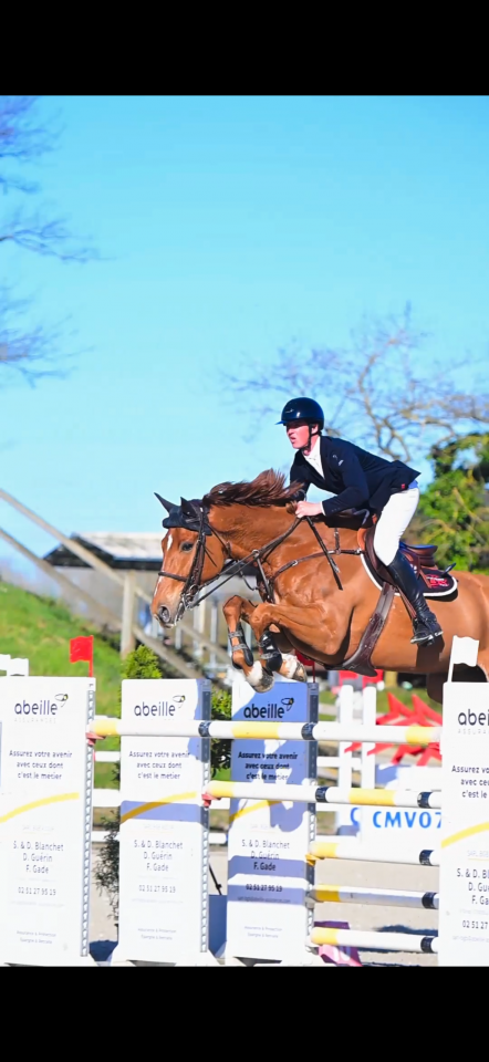 Top cheval classe 135 140 pour amateur et +