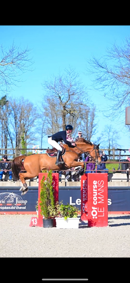 Top cheval classe 135 140 pour amateur et +