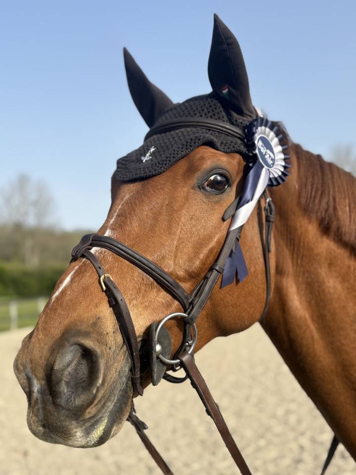 Top cheval classe 135 140 pour amateur et +