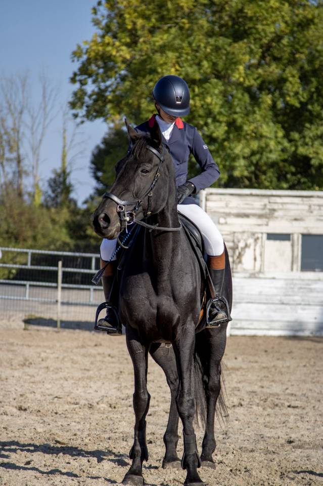 Belle et gentille Jument PS 6 ans