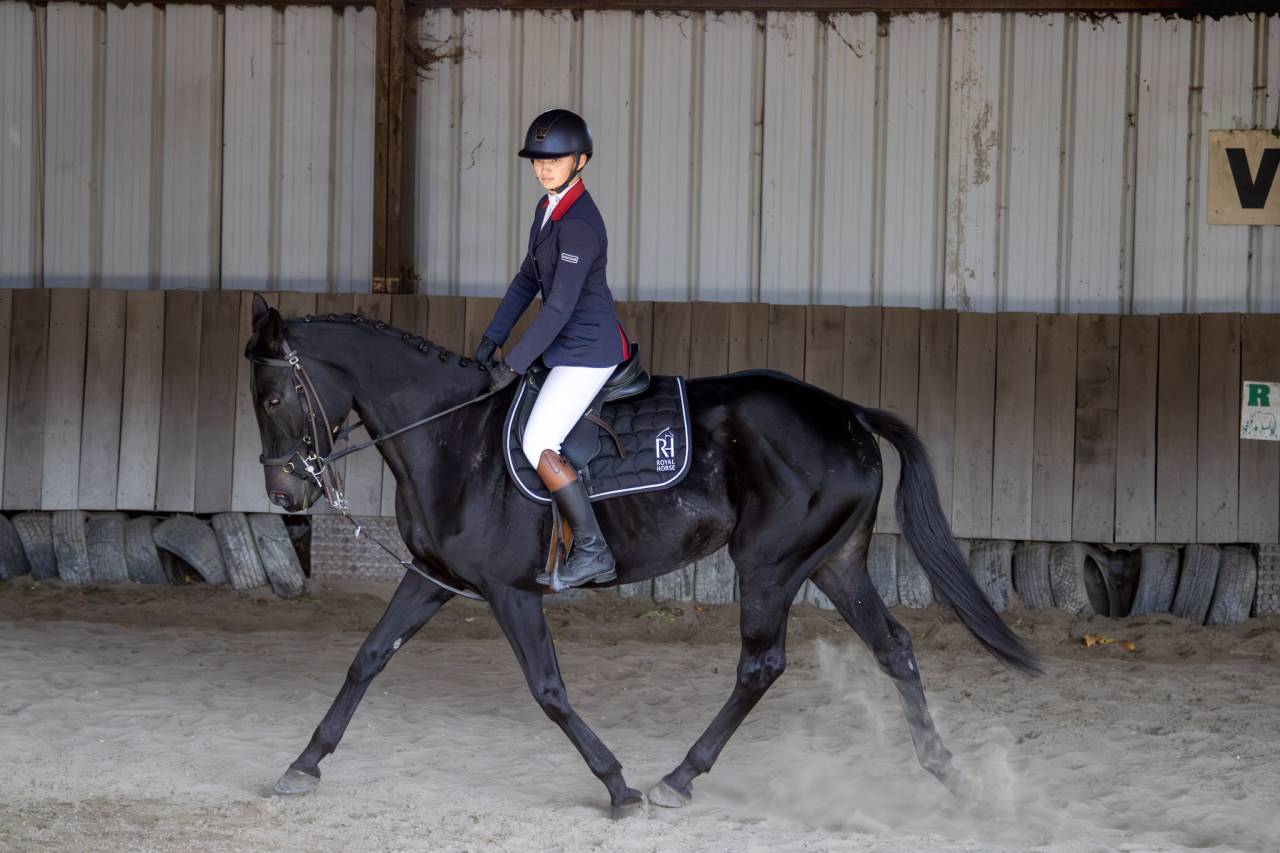 Belle et gentille Jument PS 6 ans