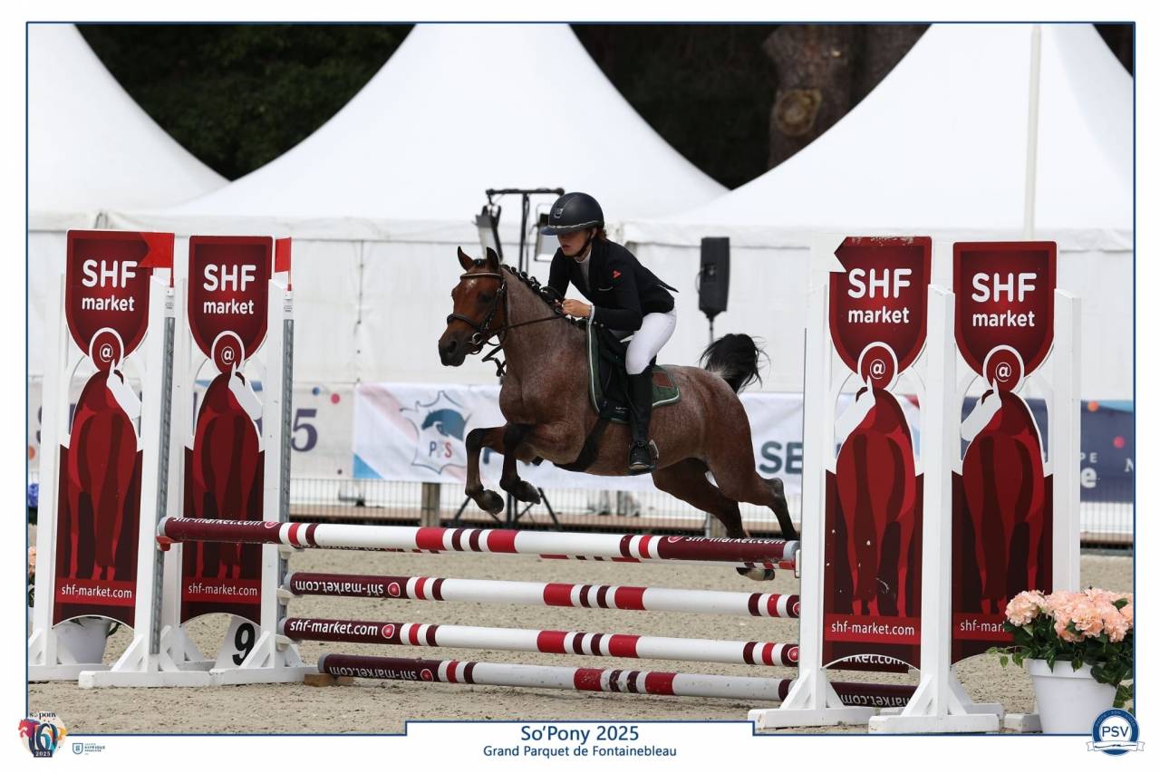 Poney B à vendre 