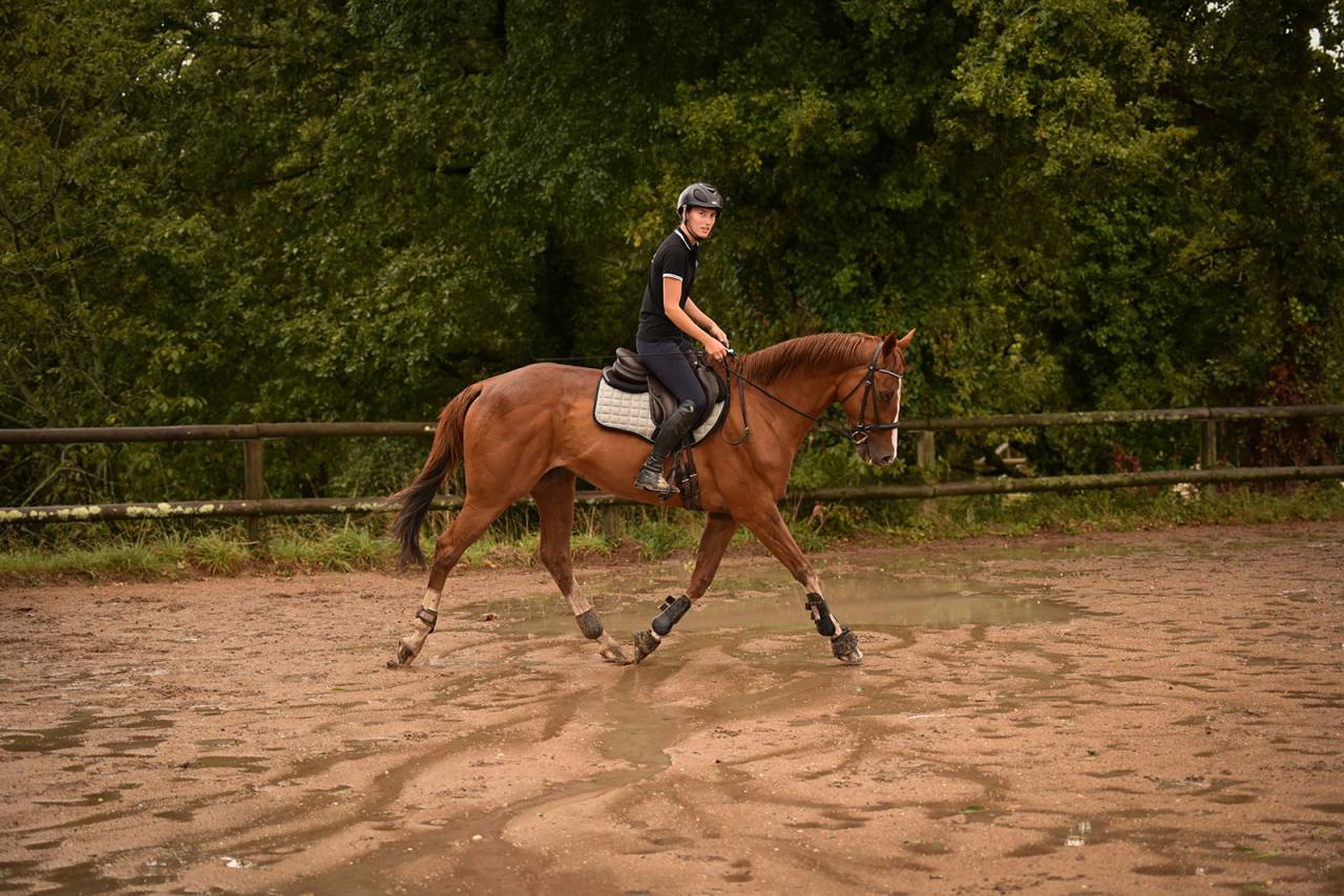 SF 12 ans orienté CCE