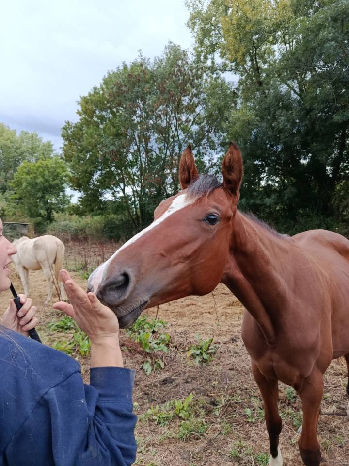 Pouliche par I am Semilly