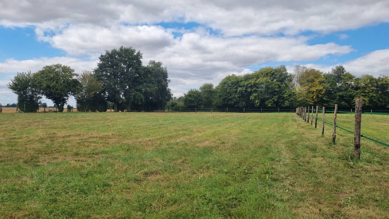Pension pr&eacute; chevaux et poneys - Le Noyer-en-Ouche (27)