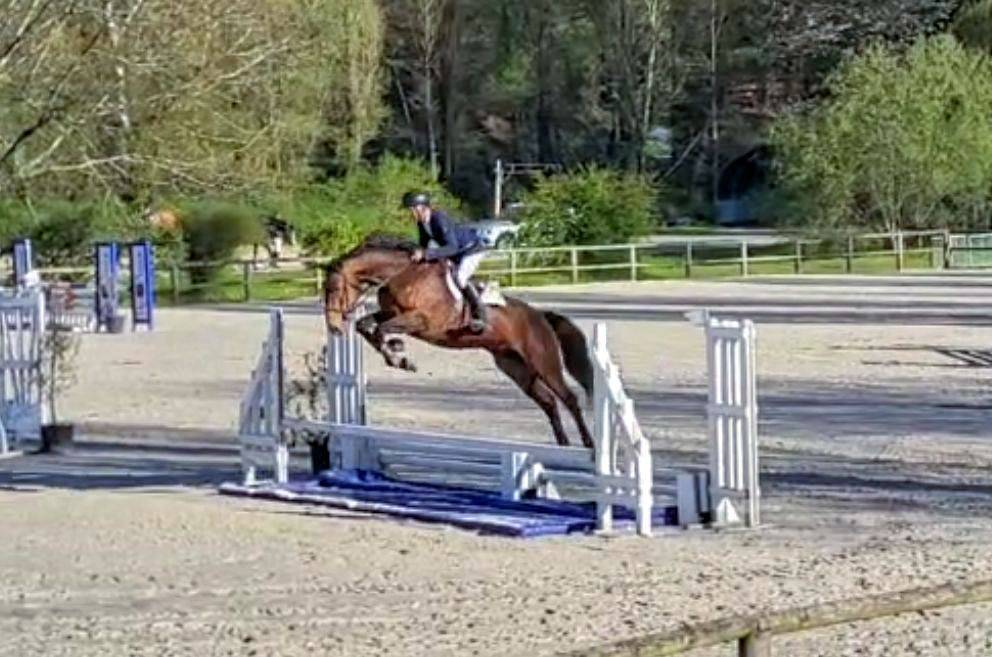 Jument CSO 7 ans, mental, force, equilibre