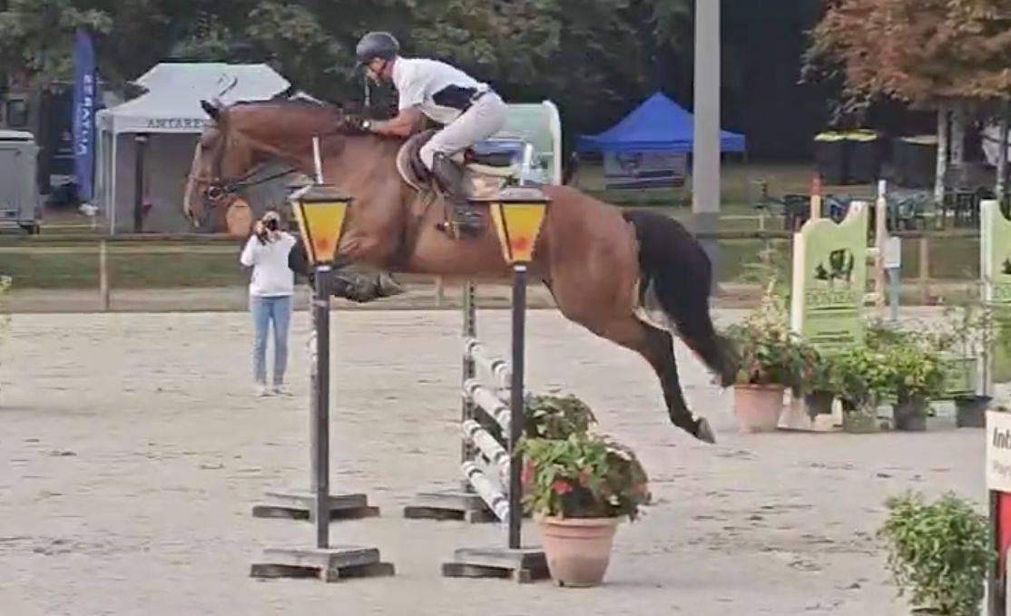 Jument CSO 7 ans, mental, force, equilibre